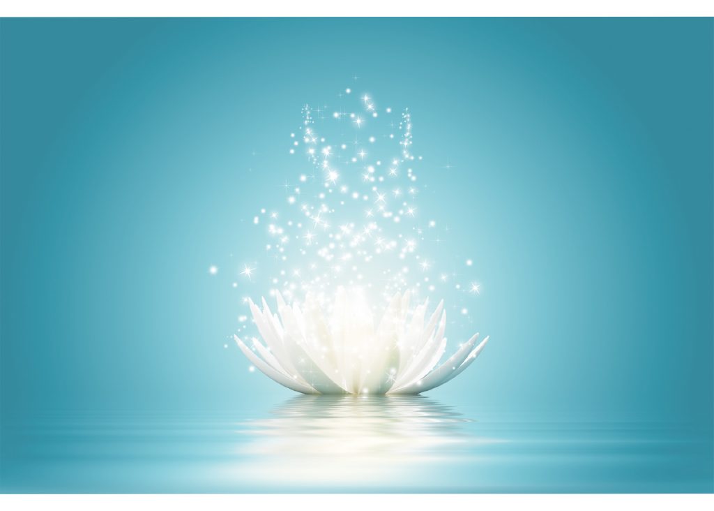 Peace Lotus a symbol of inner strength